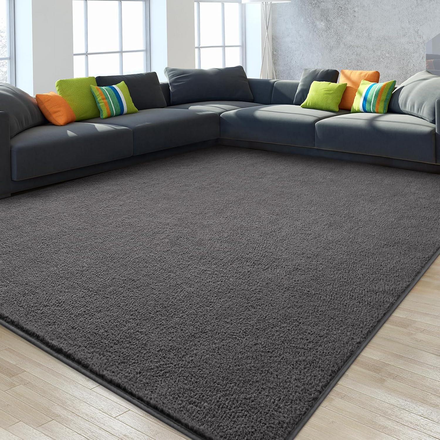 Large Ultra Soft Modern Area Rugs for Living Room Bedroom, 5x8 Feet Dark Grey Thickened Memory Foam Indoor Solid Minimalist Carpets, Non-Slip Comfy Rug for Boys Girls Nursery Room Home Decor